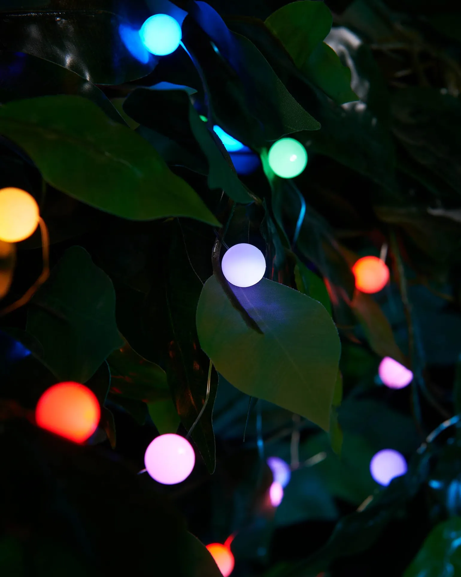 80 Pastel Multi-Coloured Micro LED Berry Lights, 6 M
