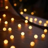 80 Pastel Warm White Micro LED Berry Lights, 2.4 M