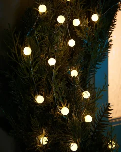 80 Pastel Warm White Micro LED Berry Lights, 2.4 M