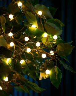 80 Pastel Warm White Micro LED Berry Lights, 2.4 M