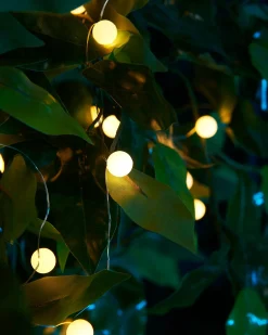 80 Pastel Warm White Micro LED Berry Lights, 2.4 M