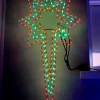 Animated North Star LED Rope Light Silhouette, 116 Cm