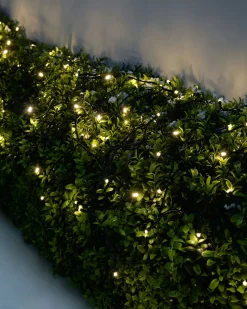 Battery Operated Multi-Function 100 LED Light String With Timer, Warm White