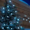 Berry Multi-Function 50 LED Connectable Light String, Bright White