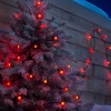 Berry Multi-Function 50 LED Connectable Light String, Bright Red