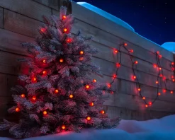 Berry Multi-Function 50 LED Connectable Light String, Bright Red