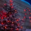 Berry Multi-Function 100 LED Connectable Light String, Bright Red