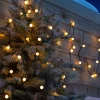 Connectable Berry 50 LED Light String, Warm White