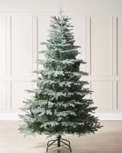 Frosted Siberian Mixed Pine Christmas Tree, 6 Ft