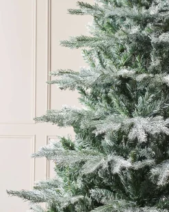 Frosted Siberian Mixed Pine Christmas Tree, 6 Ft