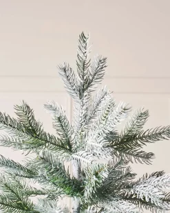 Frosted Siberian Mixed Pine Christmas Tree, 6 Ft