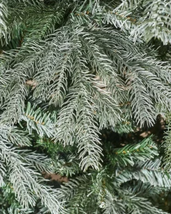 Frosted Siberian Mixed Pine Christmas Tree, 7 Ft