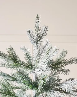 Frosted Siberian Mixed Pine Christmas Tree, 7 Ft