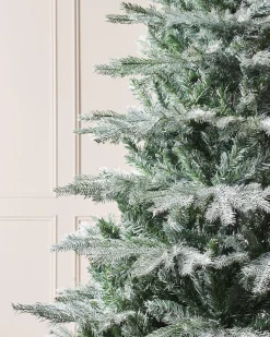 Frosted Siberian Mixed Pine Christmas Tree, 7 Ft