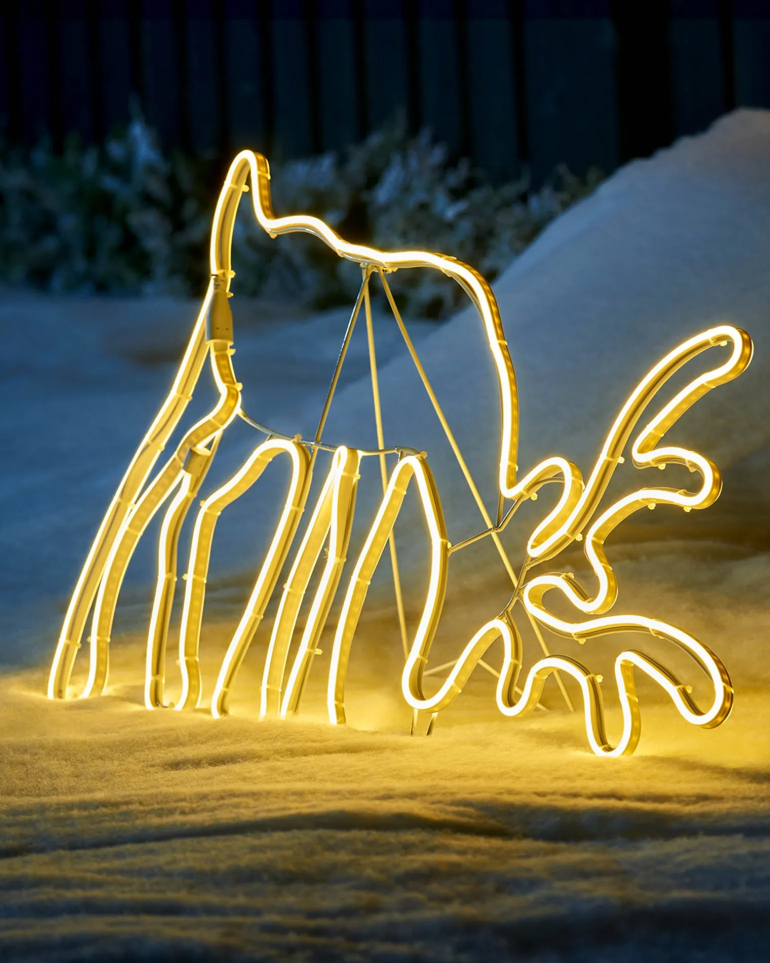 Grazing Reindeer Neon Rope Light Silhouette, 82 Cm