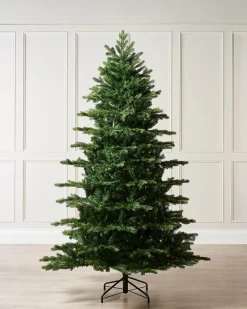 Himalayan Fir Christmas Tree, 6 Ft