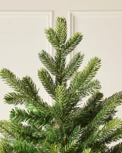 Himalayan Fir Christmas Tree, 6 Ft