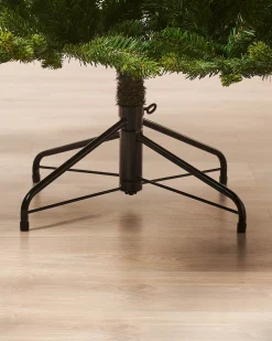 Himalayan Fir Christmas Tree, 6 Ft