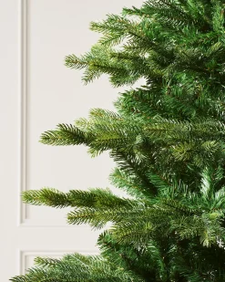 Himalayan Fir Christmas Tree, 7 Ft