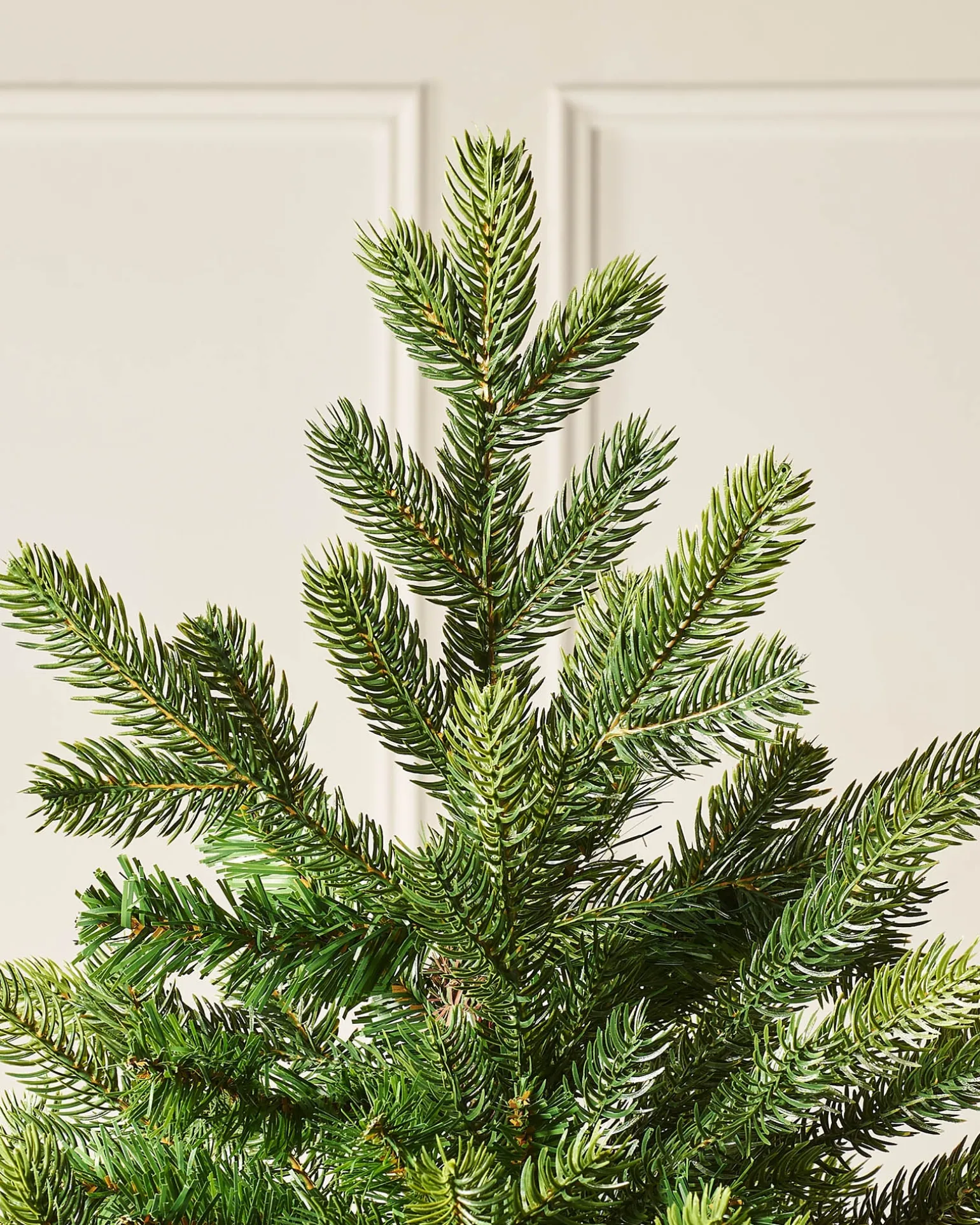 Himalayan Fir Christmas Tree, 7 Ft
