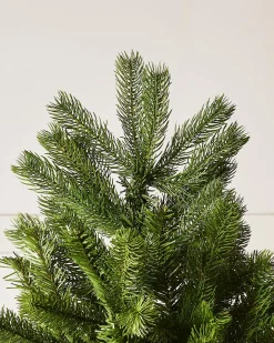 Large Mixed Pine Christmas Tree, 8 Ft
