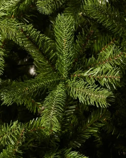 Large Mixed Pine Christmas Tree, 8 Ft
