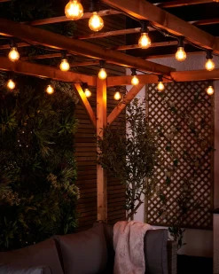 LINK FESTOON 4W E27 Dimmable Filament LED Bulb, Warm White