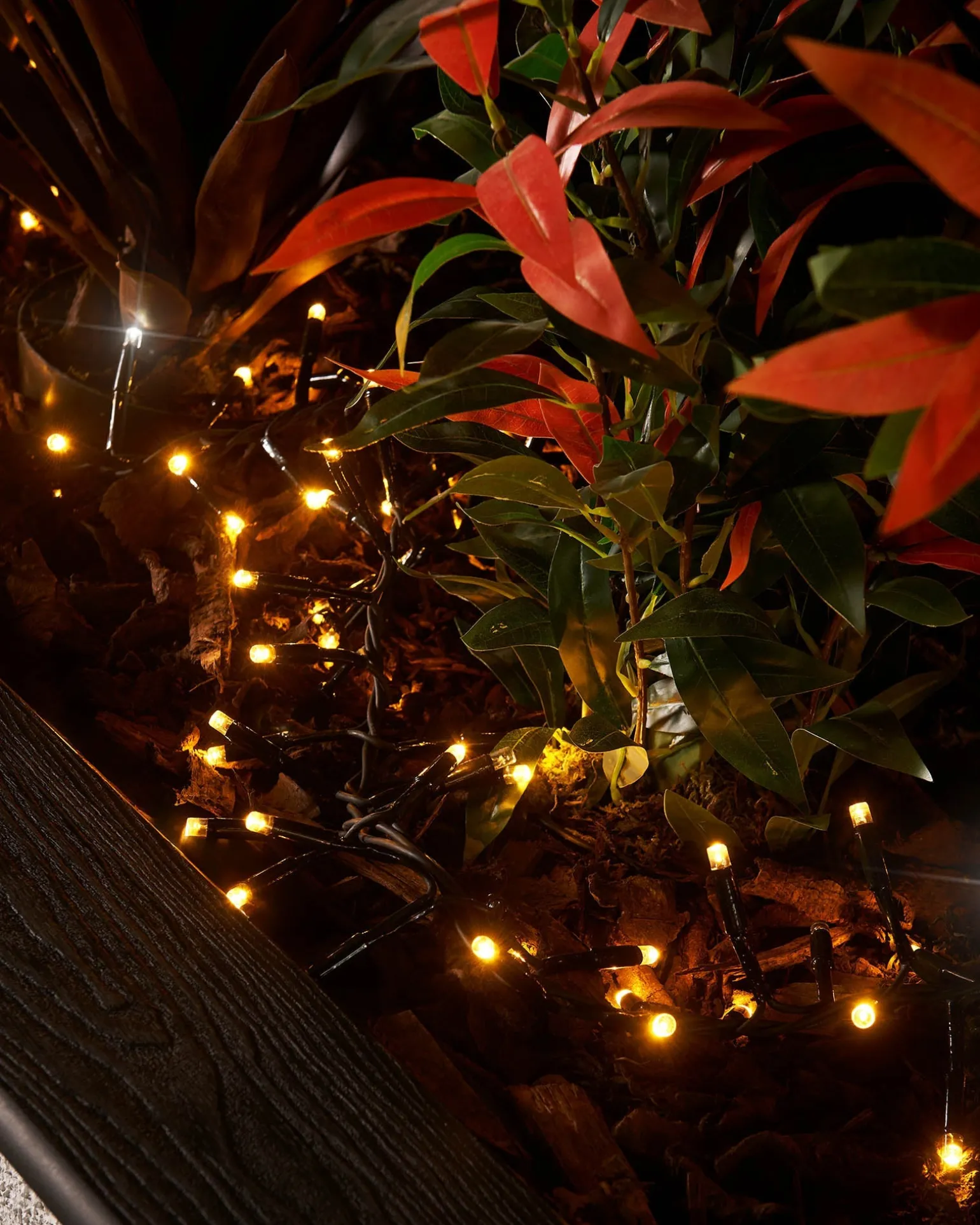 LINK PRO LED Cluster Lights, Black Cable, Warm White / White