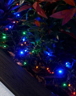 LINK PRO LED Cluster Lights, Black Cable, Multi Colour