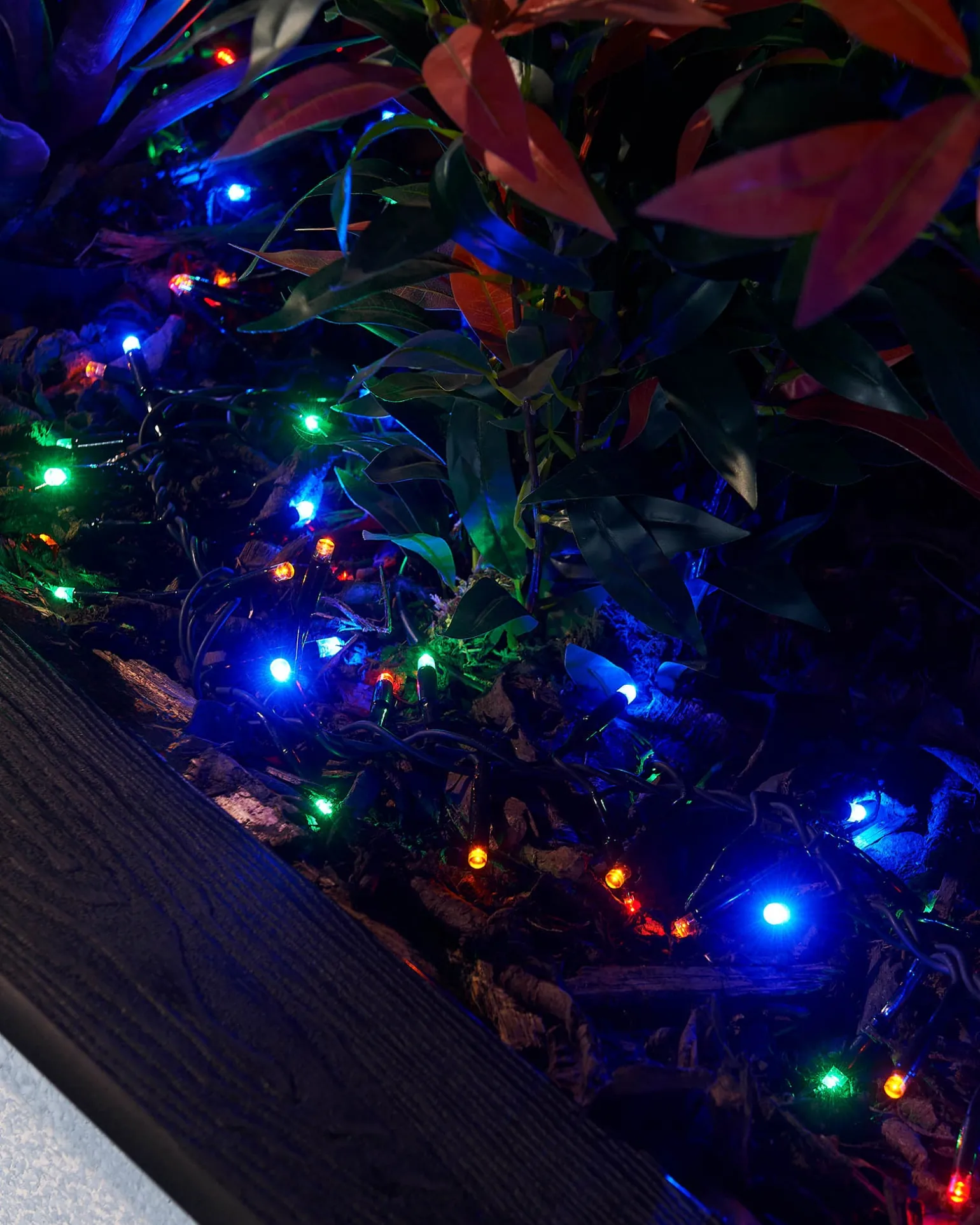 LINK PRO LED Cluster Lights, Black Cable, Multi Colour