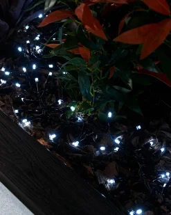 LINK PRO LED Cluster Lights, Black Cable, White