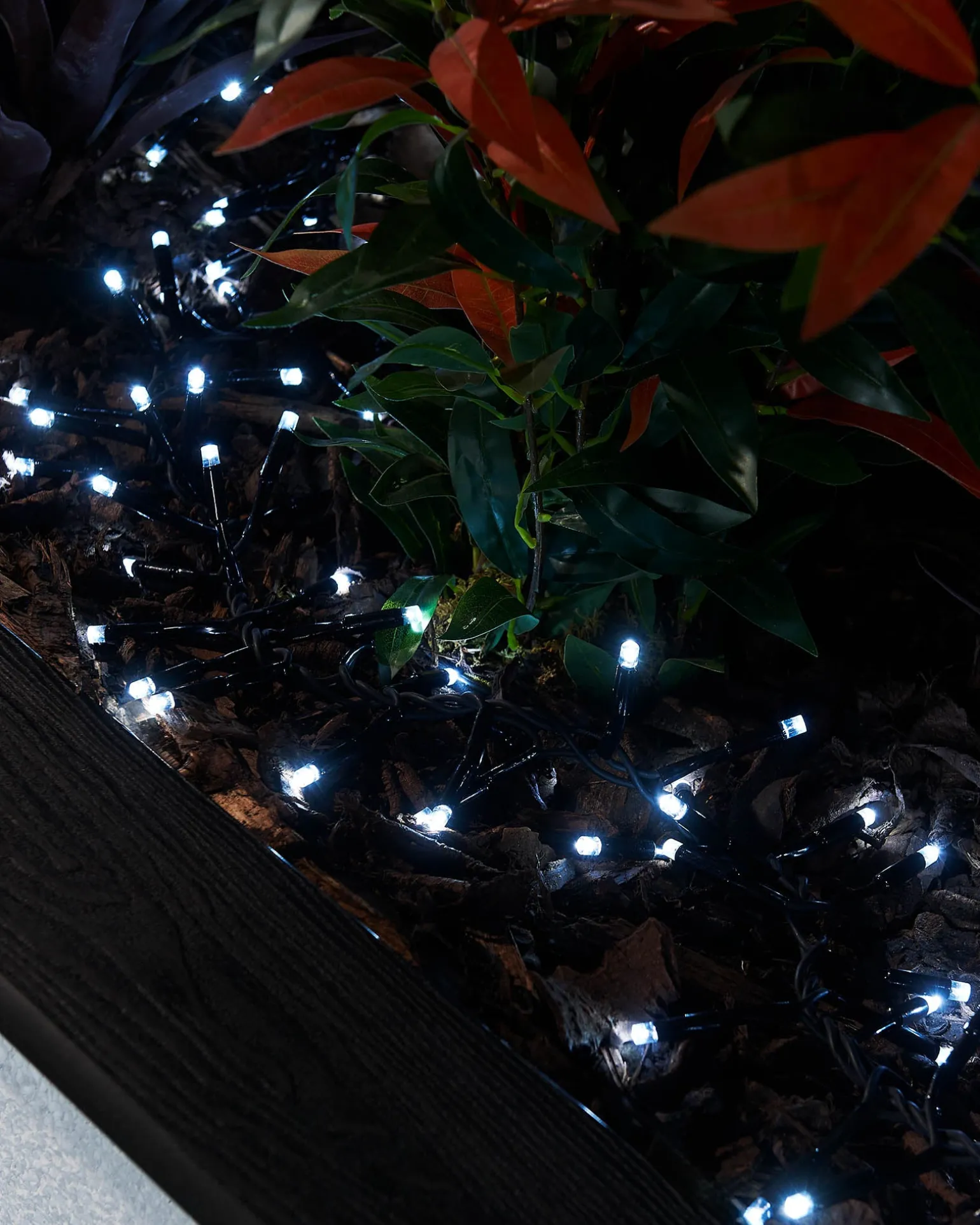 LINK PRO LED Cluster Lights, Black Cable, White