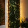 LINK PRO LED Cluster Lights, Black Cable, Warm White