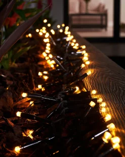 LINK PRO LED Cluster Lights, Black Cable, Warm White