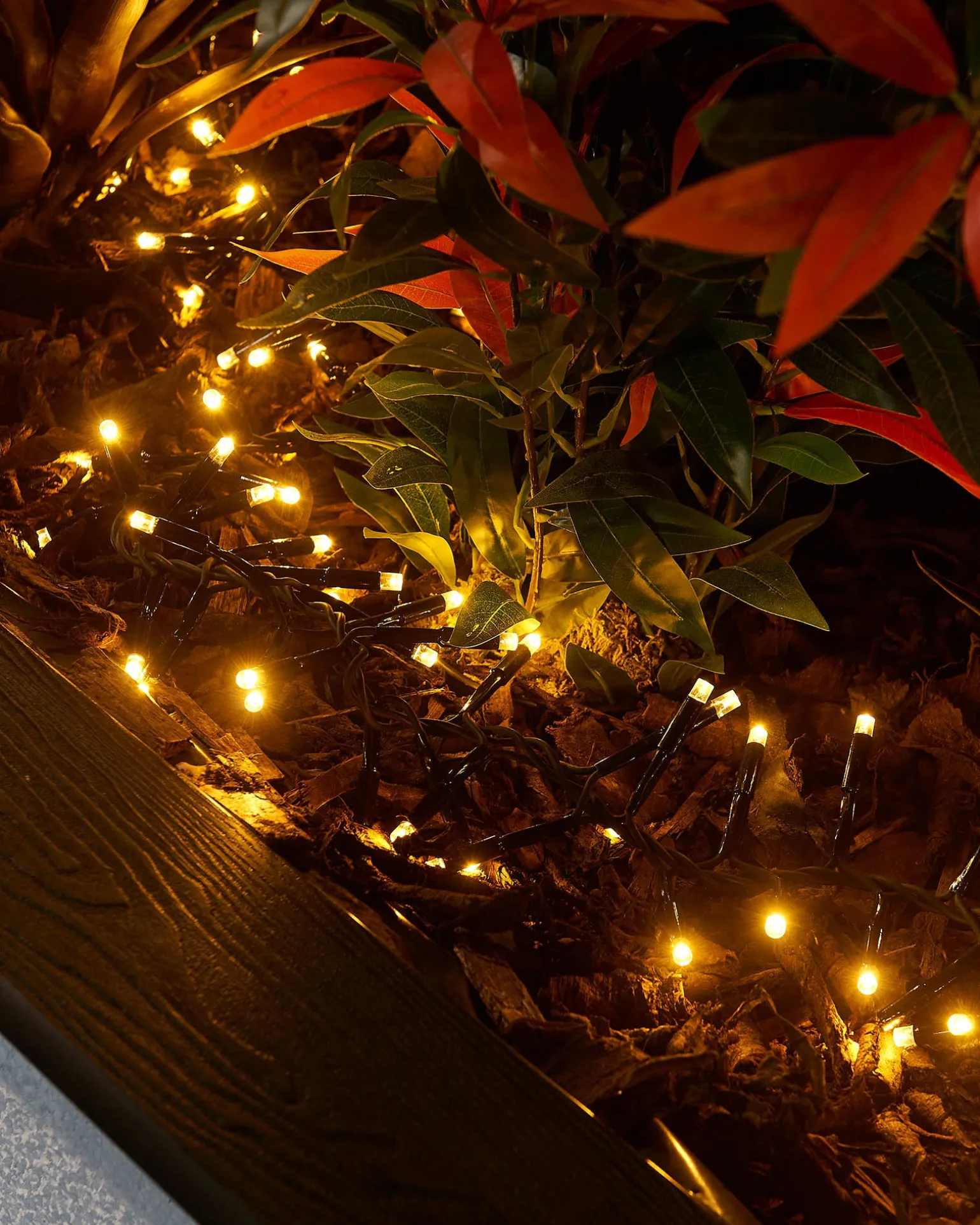 LINK PRO LED Cluster Lights, Black Cable, Warm White