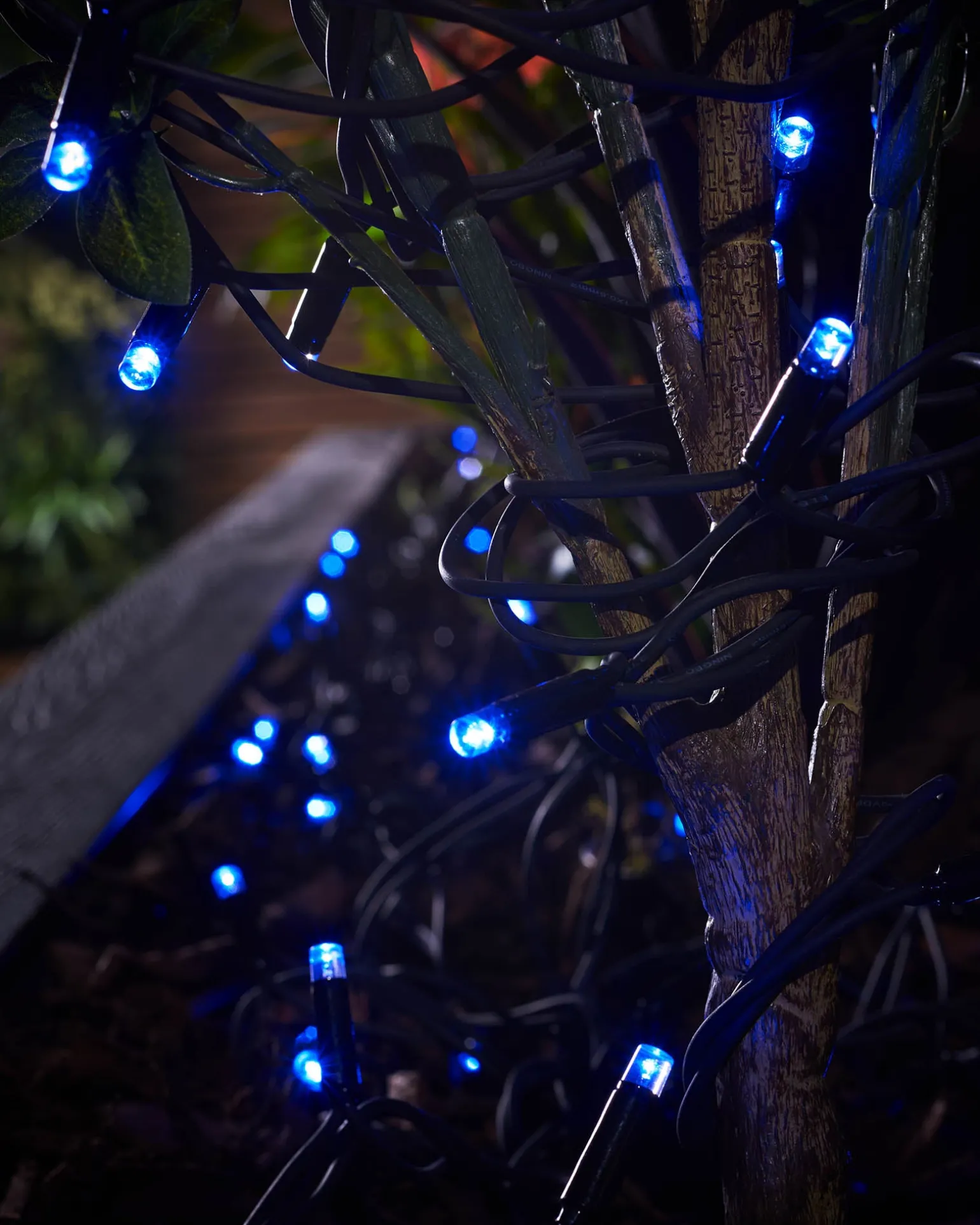 LINK PRO LED String Lights, Black Cable, Blue