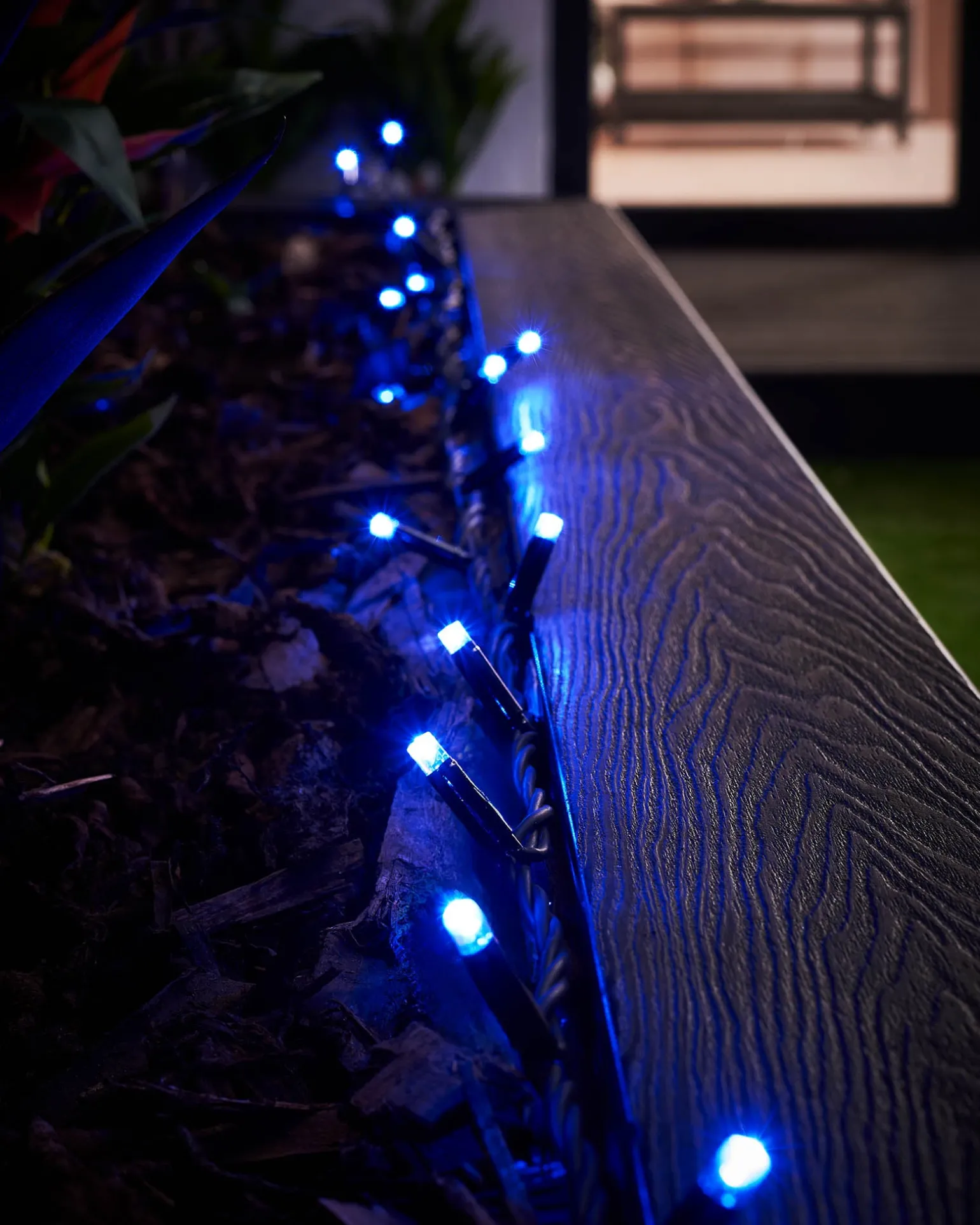 LINK PRO LED String Lights, Black Cable, Blue