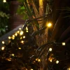 LINK PRO LED String Lights, Black Cable, Gold