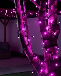 LINK PRO LED String Lights, Black Cable, Pink
