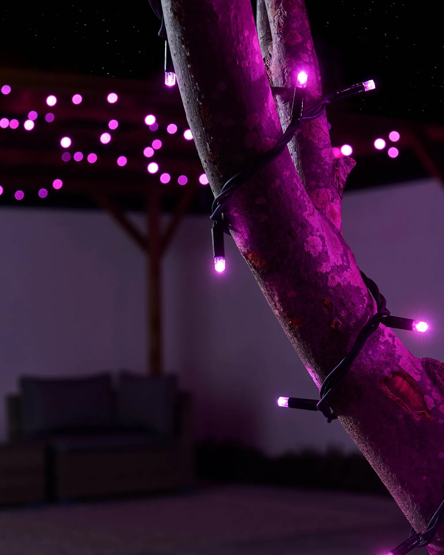 LINK PRO LED String Lights, Black Cable, Pink