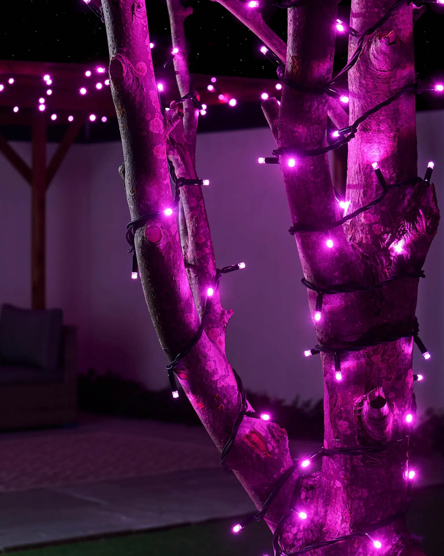LINK PRO LED String Lights, Black Cable, Pink