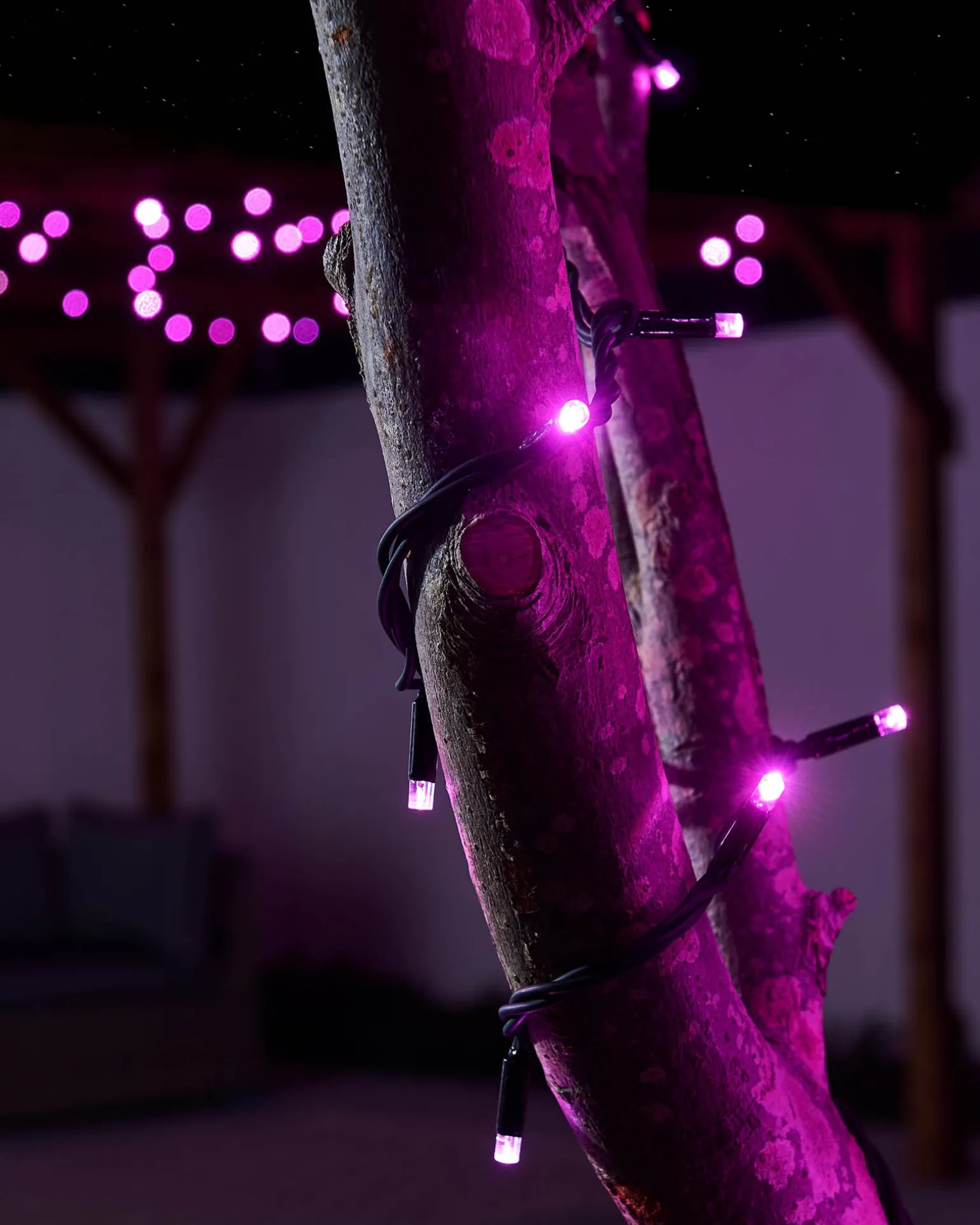 LINK PRO LED String Lights, Black Cable, Pink