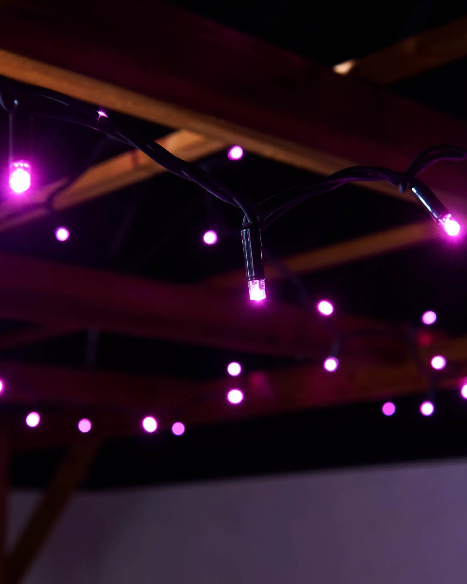 LINK PRO LED String Lights, Black Cable, Pink