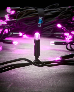 LINK PRO LED String Lights, Black Cable, Pink