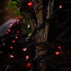 LINK PRO LED String Lights, Black Cable, Red