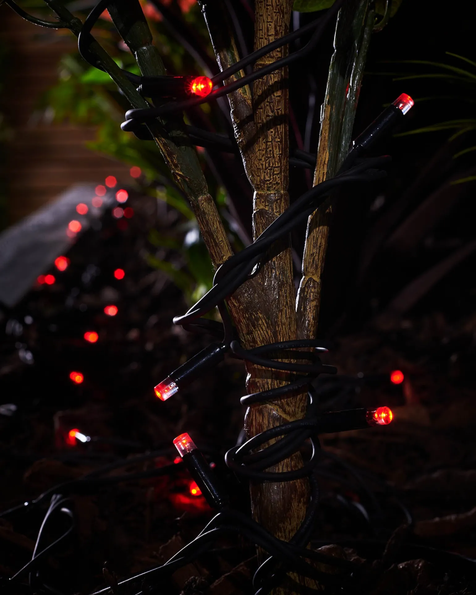 LINK PRO LED String Lights, Black Cable, Red