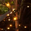 LINK PRO LED String Lights, Black Cable, Warm White
