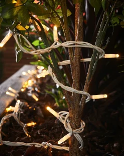 LINK PRO LED String Lights, White Cable, Warm White