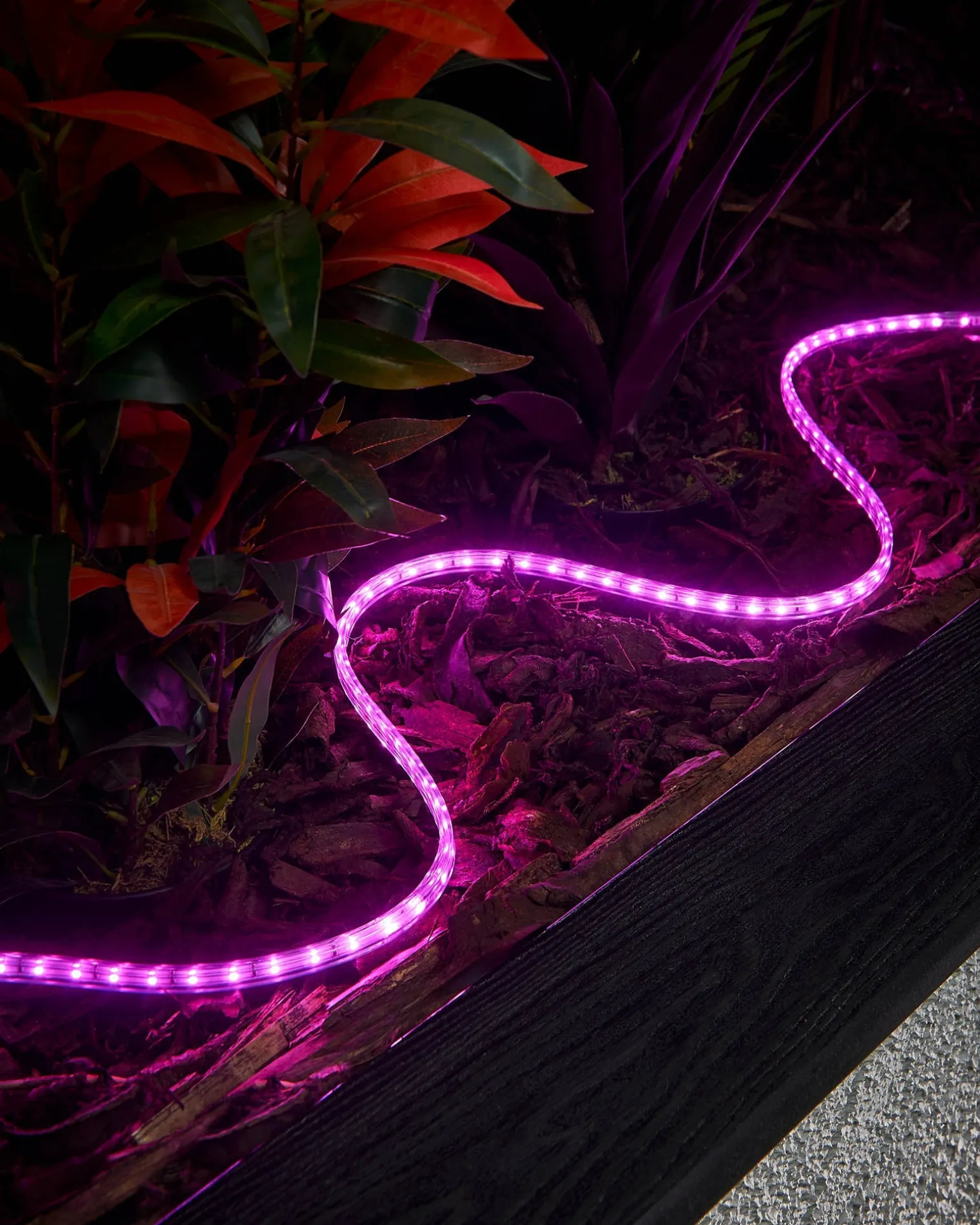 LINK PRO Strip Light, Made To Measure, Pink