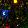LINK UP LED Berry Lights, Black Cable, Multi Colour